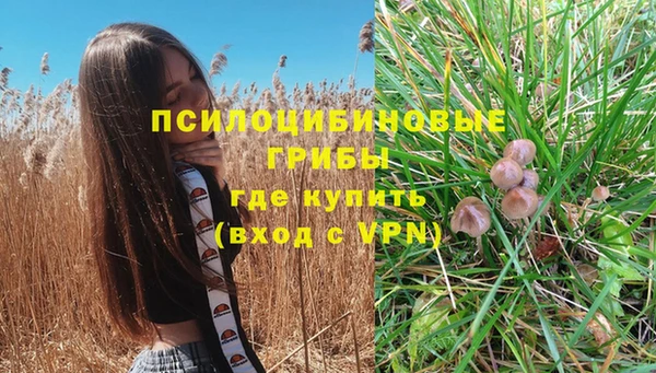дурь Заволжье