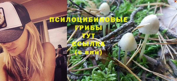 ешки Нязепетровск