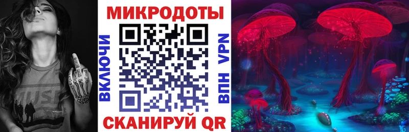 закладка  Зерноград  Псилоцибиновые грибы Psilocybe 